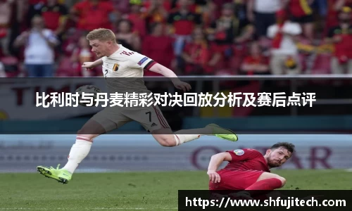 比利时与丹麦精彩对决回放分析及赛后点评