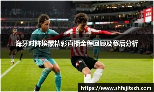 海牙对阵埃蒙精彩直播全程回顾及赛后分析